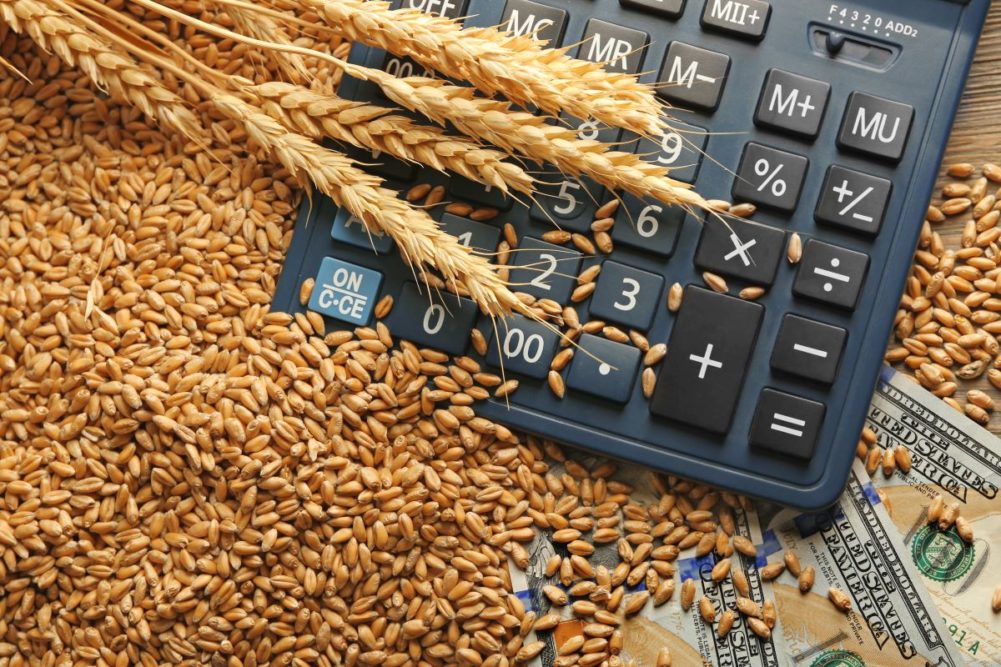 Wheat grains, dollars and a calculator