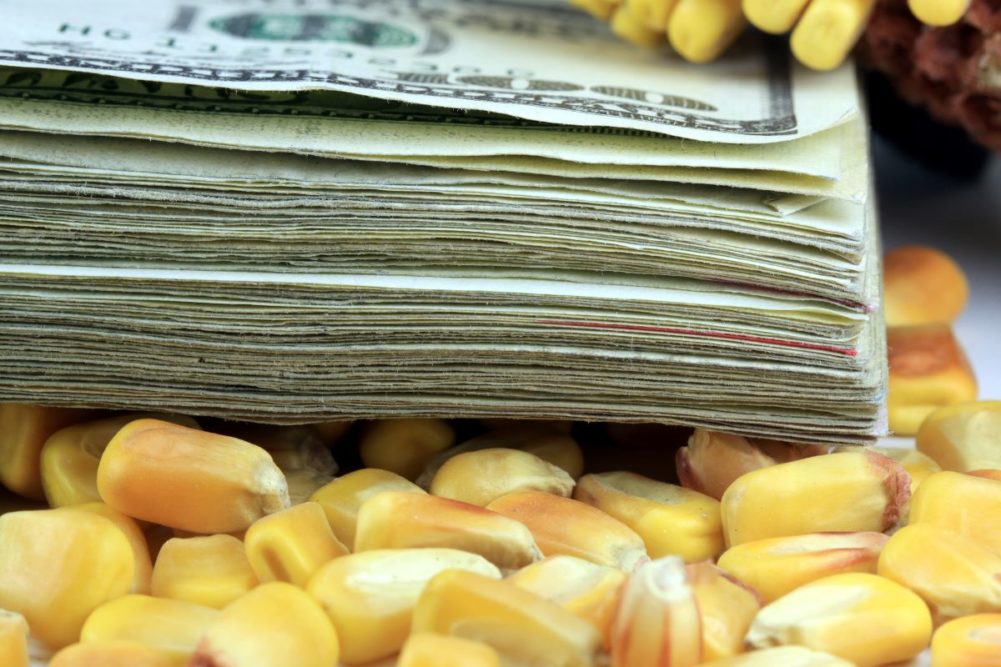 Stack of dollar bills on top of corn kernels