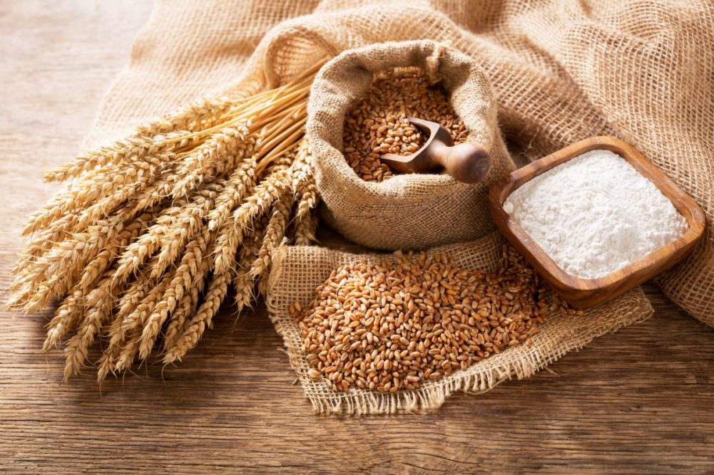 Wheat stalks and wheat berries on a burlap bag