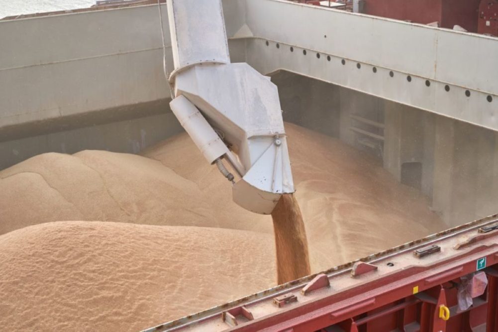 Grain loading into shipping container