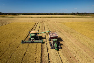 Rice harvester, equipment, rice field