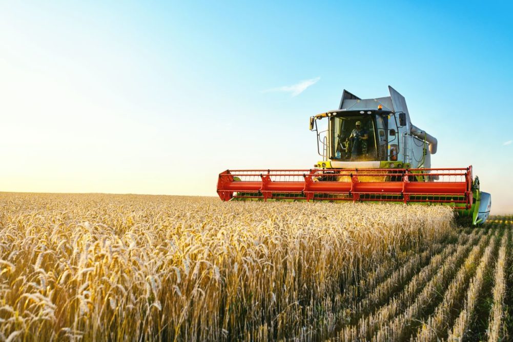 Wheat combine harvester