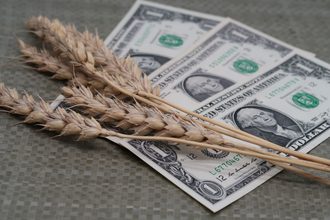 Wheat on one dollar bills