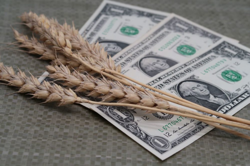 Wheat on one dollar bills