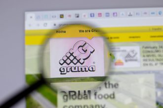 Gruma website, magnifying glass