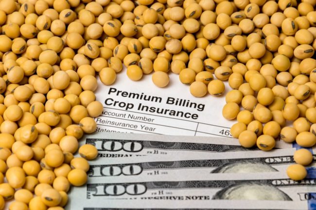 Soybeans, crop insurance, one hundred dollar bills.