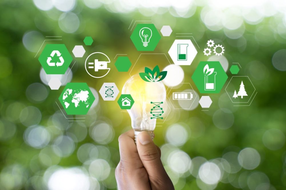 Sustainability graphic, lightbulb, green background, sustainability symbols