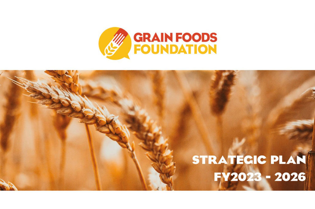 GFF strategic plan PowerPoint image, GFF logo, wheat background