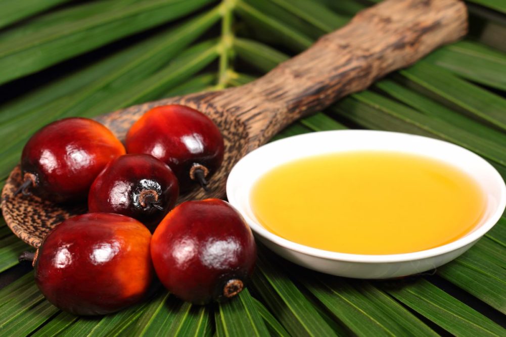 Palm oil and palm nuts