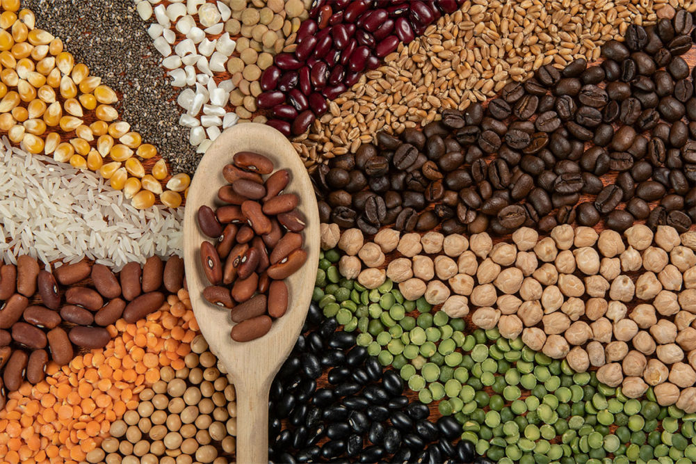 Assortment of beans and legumes in a variety of colors. 