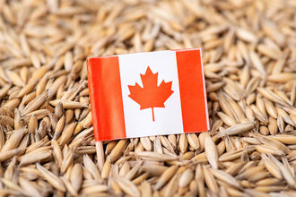 Small Candian flag on a pile of oats.