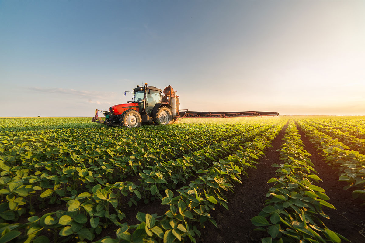 ABA: Food and Agriculture Sector Are Crucial Components of the US Economy