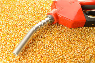 Bunge corn oil. 