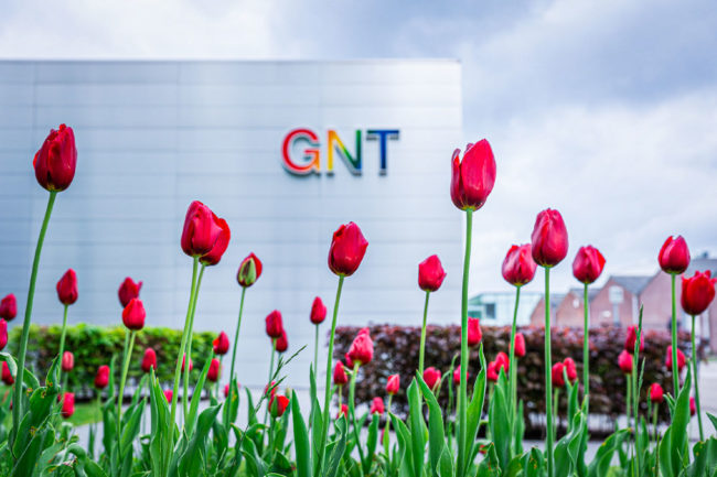 GNT building in front of rows of tulips. 