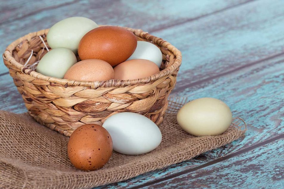 Bakers reduce reliance on eggs due to cost and health reasons