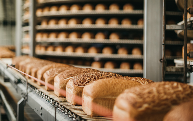 A row of loaves of bread on a conveyor belt

Description automatically generated