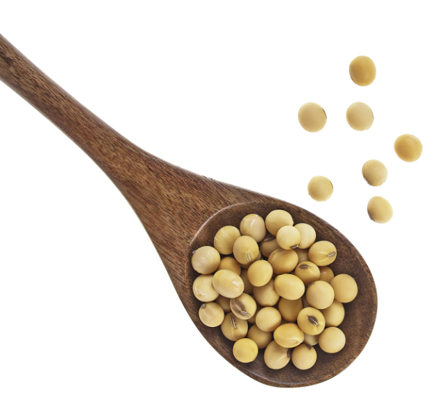 Spoonful of soybeans
