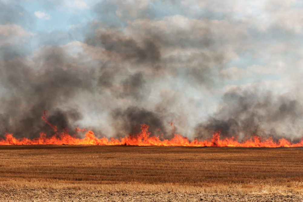 Wheat field fire