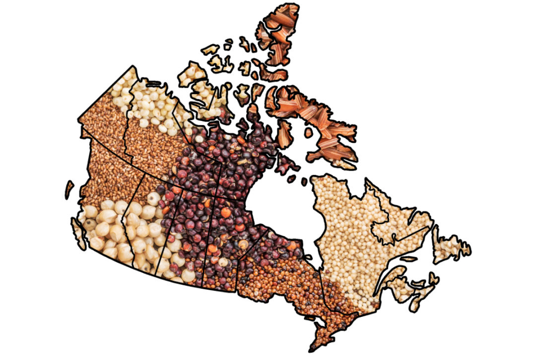 Canada grains
