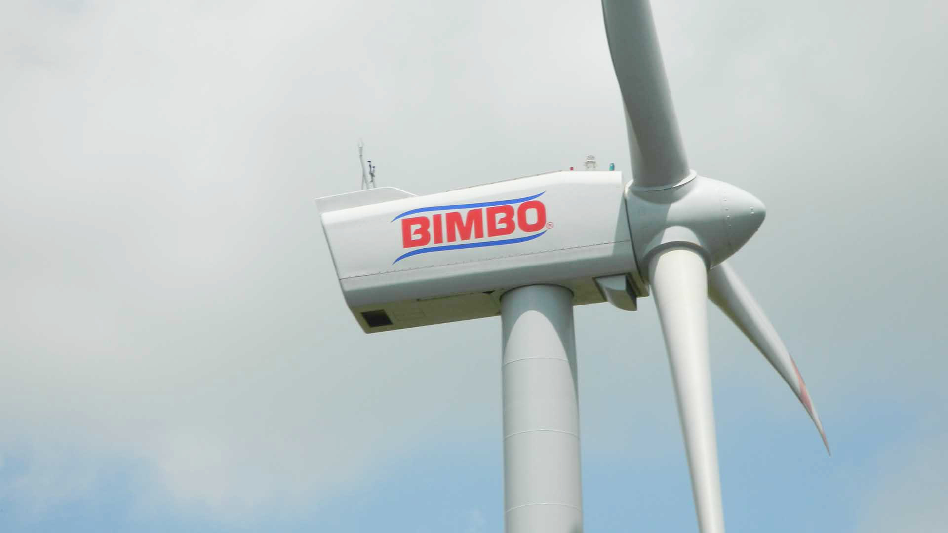 Grupo Bimbo wind farm
