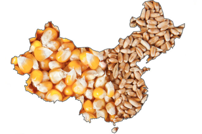 China grain
