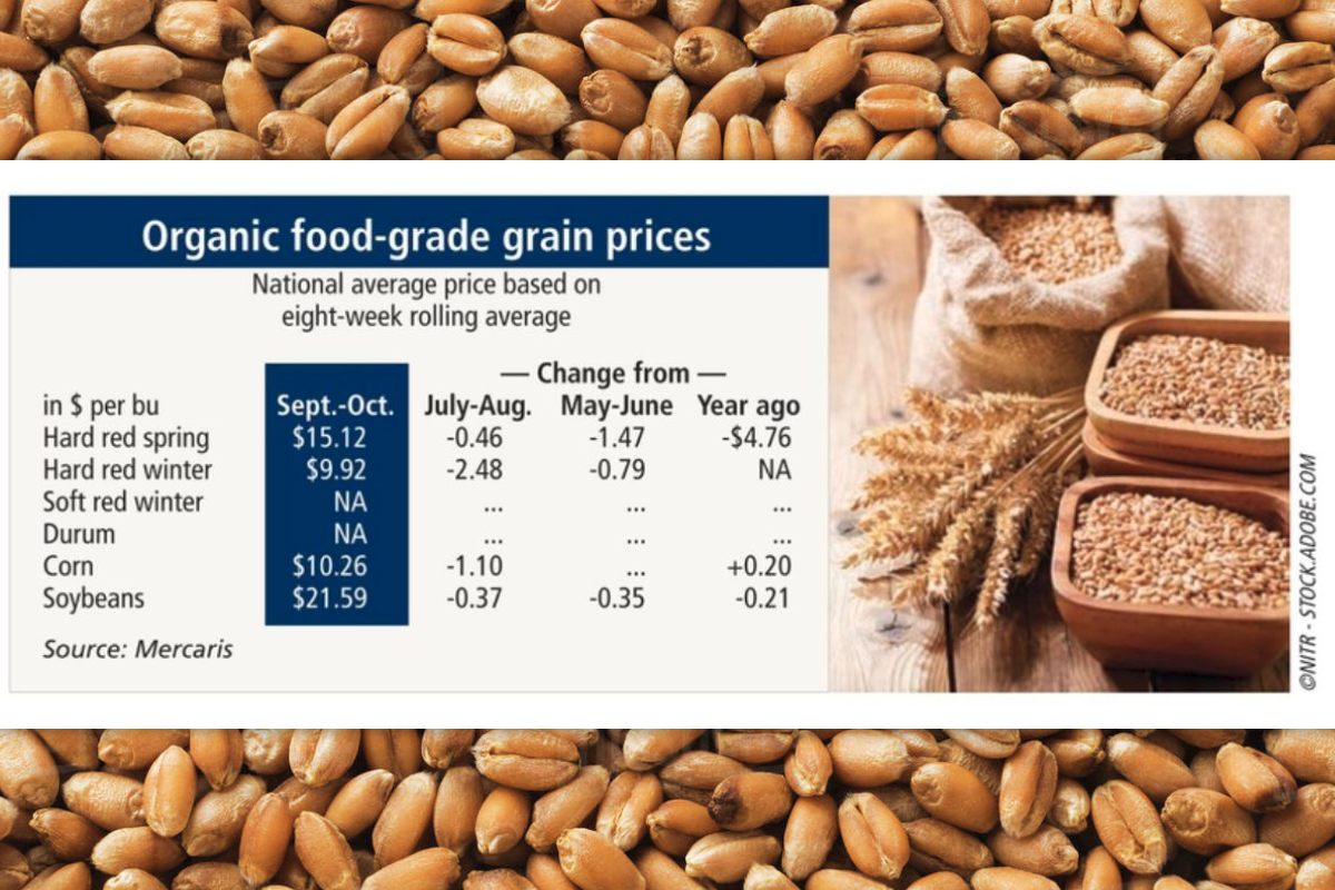 Food Grains Chart