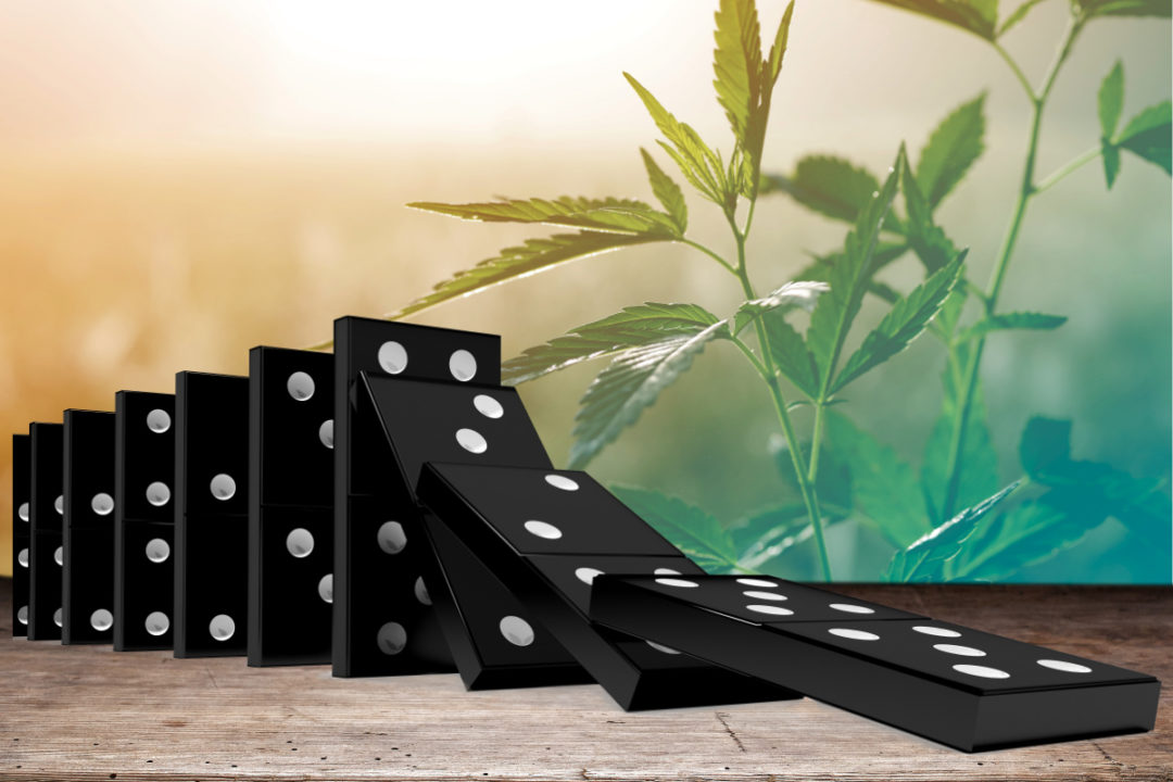 Cannabis domino effect
