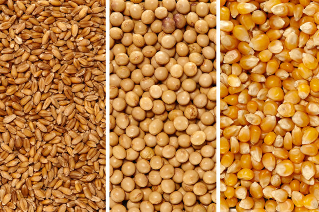 Wheat, soy, corn