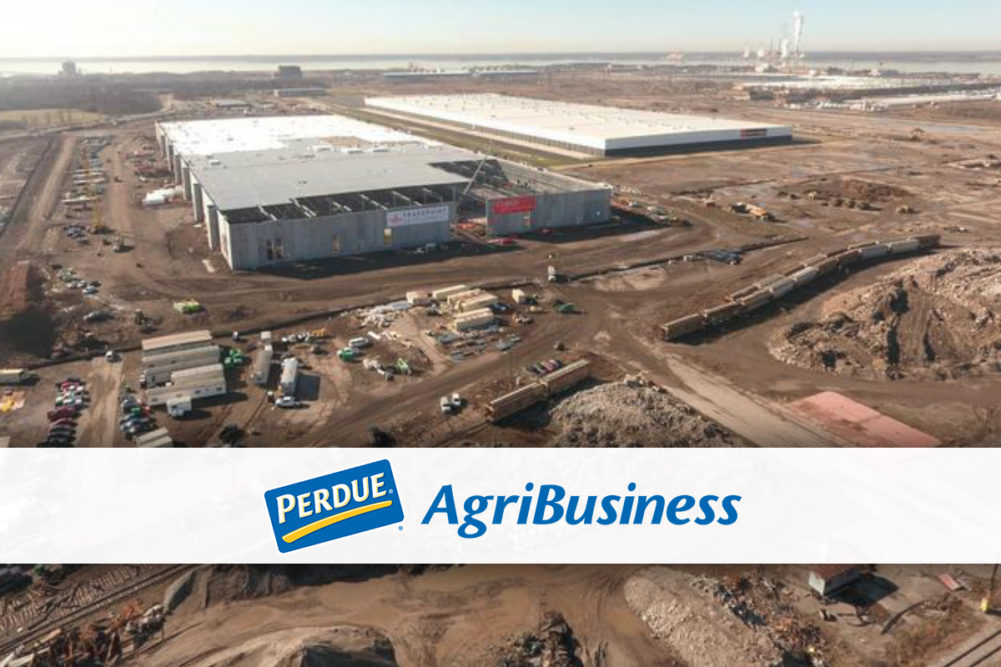 Perdue AgriBusiness organic grain receiving and storage facility at Tradepoint Atlantic