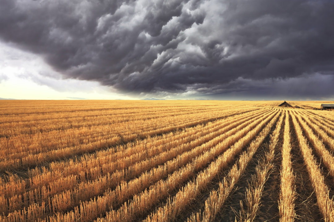 Storm over farm land
