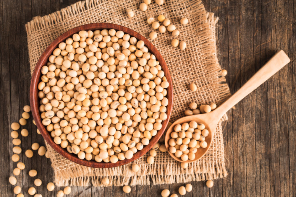 Soybeans in bowl and spoon