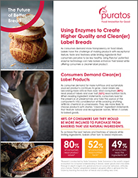 Puratos whitepaper using enzymes to create higher quality nov2022