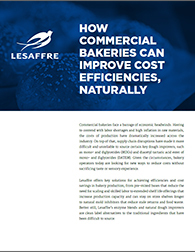 Lesaffre whitepaper improvecostefficiencies may2024