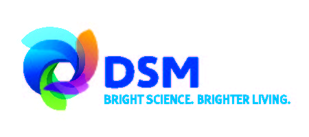 dsm_logo_bsd_2021