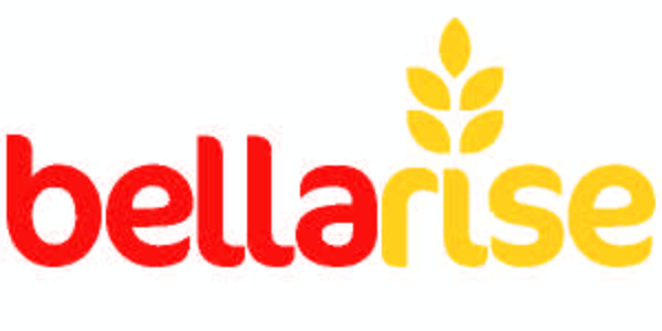 bellarise_logo_2022